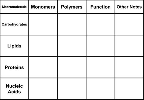 macromolecules quizlet|which macromolecule provides a person with the highest amount of energy per mass.